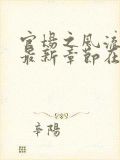 官场之风流医少最新章节在线阅读
