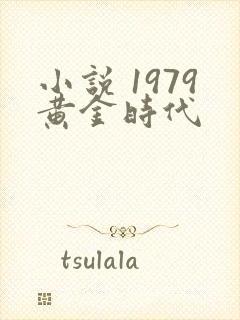 小说 1979黄金时代
