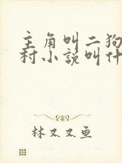 主角叫二狗的乡村小说叫什么