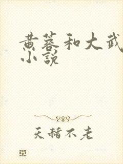黄蓉和大武小武小说