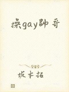 操gay帅哥