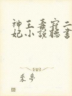 神王毒宠二嫁王妃小说听书封面