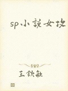 sp小说女攻