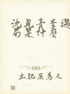 沈见青李遇泽结局是什么