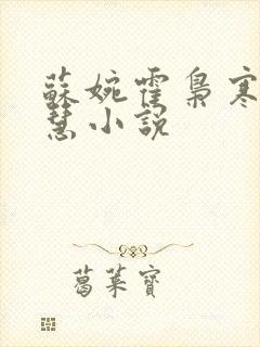苏婉霍枭寒苏晓慧小说