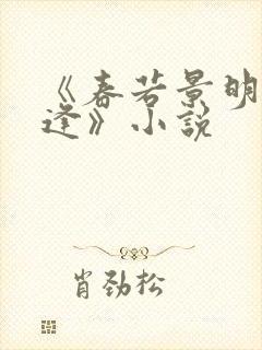 《春若景明不相逢》小说
