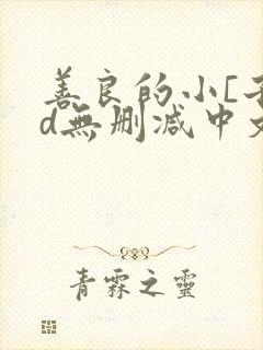 善良的小[子hd无删减中文