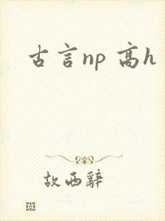 古言np 高h