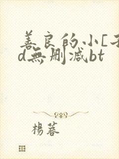 善良的小[子hd无删减bt