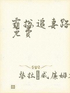霸总追妻路漫漫免费