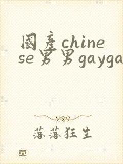 国产chinese男男gaygay网站下载