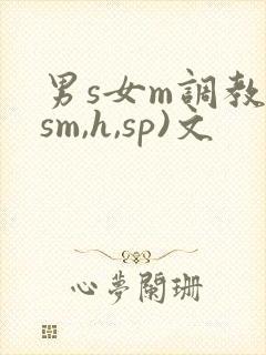 男s女m调教(sm,h,sp)文