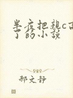 半夜把亲c高潮了的小说