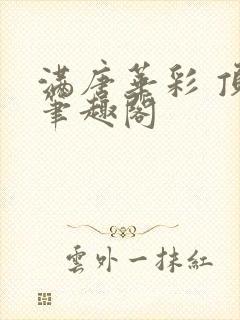 满唐华彩 顶点笔趣阁