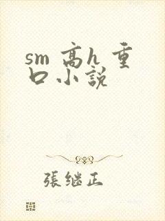sm 高h 重口小说