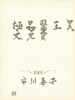 极品医王吴北全文免费