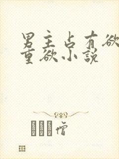 男主占有欲强且重欲小说