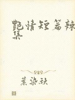 艳情短篇辣文合集封面