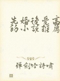 先婚后爱高干文的小说推荐