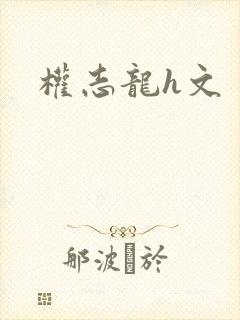 权志龙h文