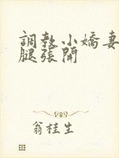 调教小娇妻h把腿张开