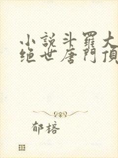 小说斗罗大陆2绝世唐门顶点