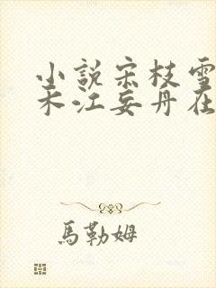 小说宋枝雪顾婉禾江妄舟在线阅读