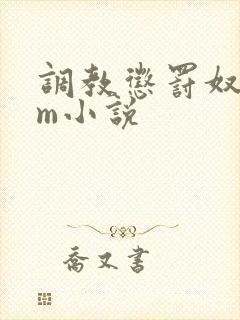 调教惩罚奴隶sm小说