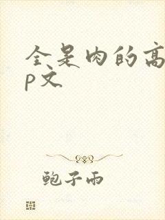 全是肉的高hnp文