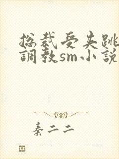 总裁受夹跳蛋h调教sm小说封面
