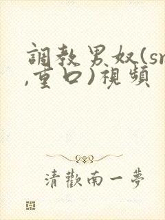 调教男奴(sm,重口)视频