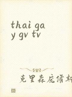 thai gay gv tv封面
