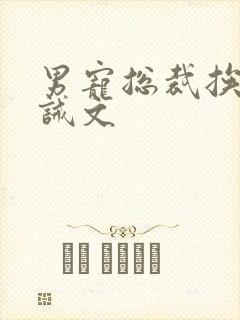 男宠总裁挨打训诫文