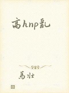 高hnp乱