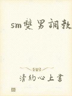 sm双男调教文封面