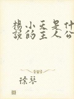 杨小天是什么小说的主人公名字