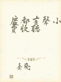废都有声小说免费收听
