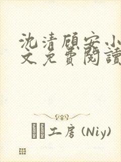 沈清顾安小说全文免费阅读