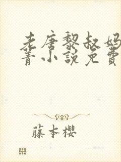 老唐黎叔妈妈菁菁小说免费阅读