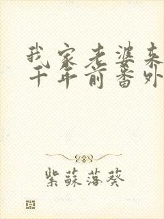 我家老婆来自一千年前番外篇