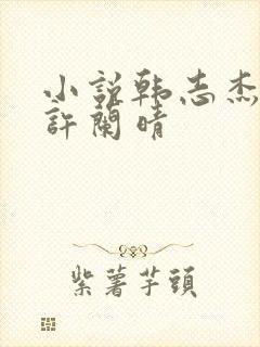 小说韩志杰陆雪许兰晴