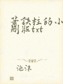 萧铁柱的小说未删版txt封面