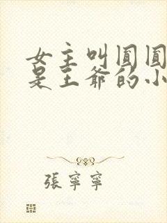 女主叫圆圆男主是王爷的小说