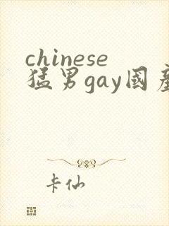 chinese猛男gay国产video网站