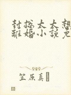 封总太太想跟你离婚小说免费阅读
