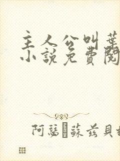 主人公叫叶凡的小说免费阅读全文