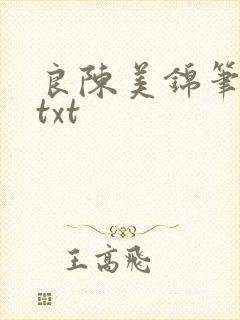 良陈美锦笔趣阁txt