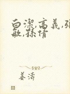 白洁,高义,张敏,孙倩