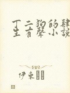 丁二狗的肆意人生有声小说收听完整版