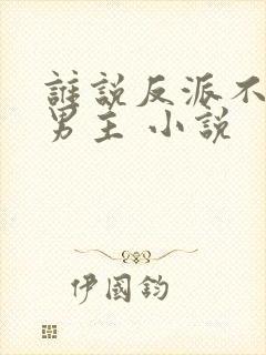 谁说反派不能当男主 小说封面